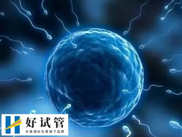 男方弱精做一代试管还是二代试管 弱精症(图1) 男方不属于严重的弱精可以选择一代试管