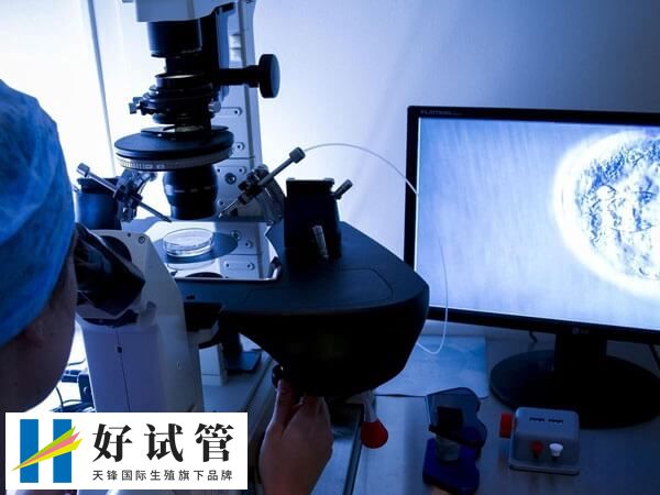 冷冻最长试管婴儿是多少天(图1) 冷冻胚胎可以保存20年