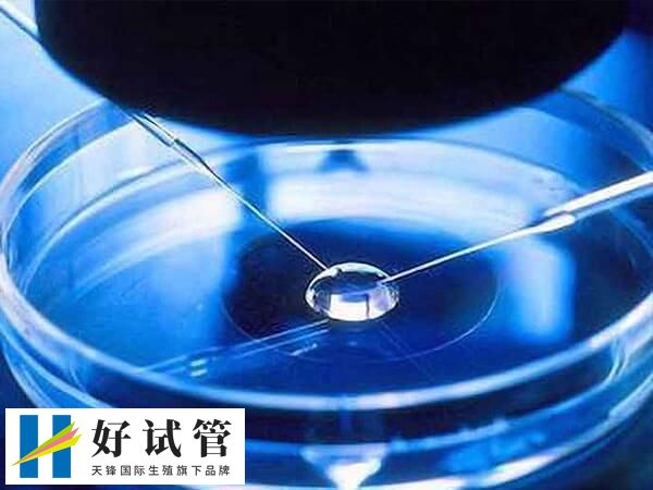 第四代试管技术有什么优势(图1) 第四代试管技术的争议很大