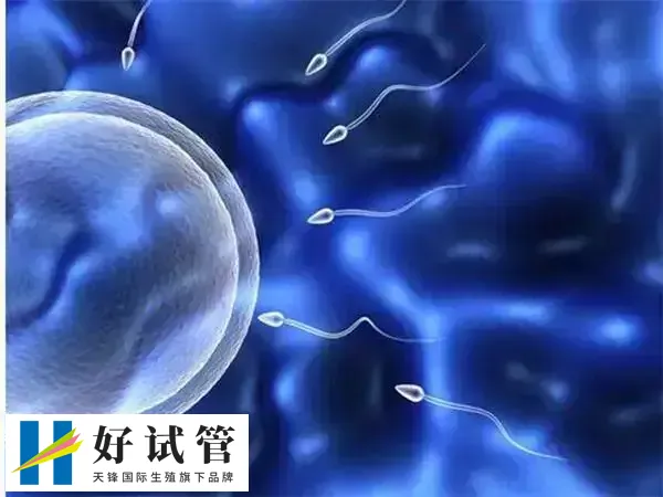 染色体多态可不可以做第三代试管(图1) 染色体多态无需特殊治疗