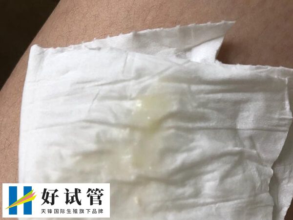 胚胎着床成功后会出现激素水平上升
