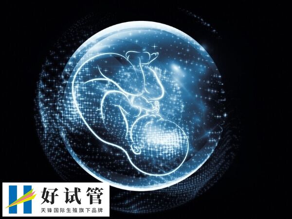 5bb囊胚质量如何(图1) 5bb囊胚是优质胚胎