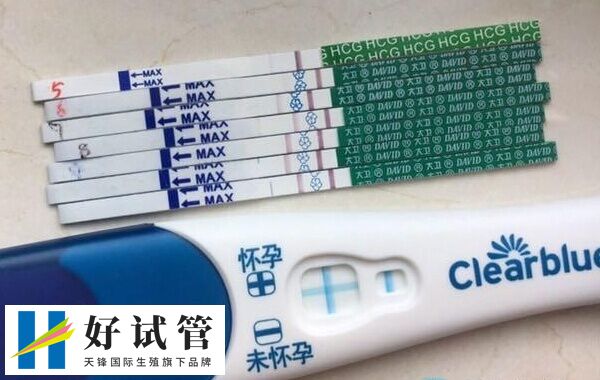 5bb囊胚质量如何(图3) 囊胚移植后五天左右就能着床