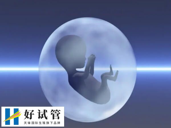 试管短方案的可不可以移植鲜胚(图2) 取卵后存在输卵管积水不适合鲜胚移植