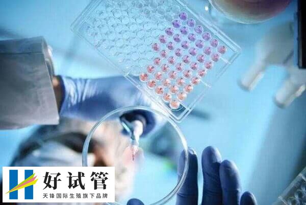 试管婴儿短方案优缺点是什么(图2) 短方案整体费用相对长方案更为经济