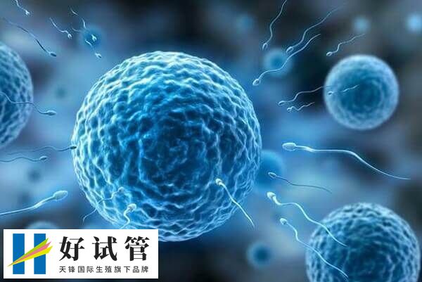 徐州市中医院试管婴儿价格多少(图2) 徐州市中医院试管费用