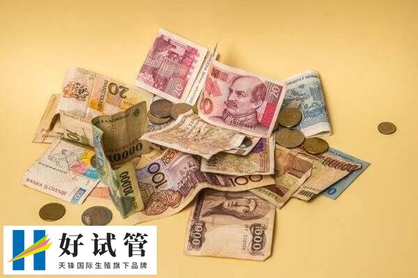 马来西亚三代试管婴儿多少钱(图2) 马来三代试管药物费用明细