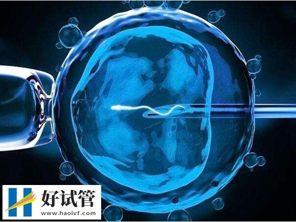 ppos方案能不能移植鲜胚