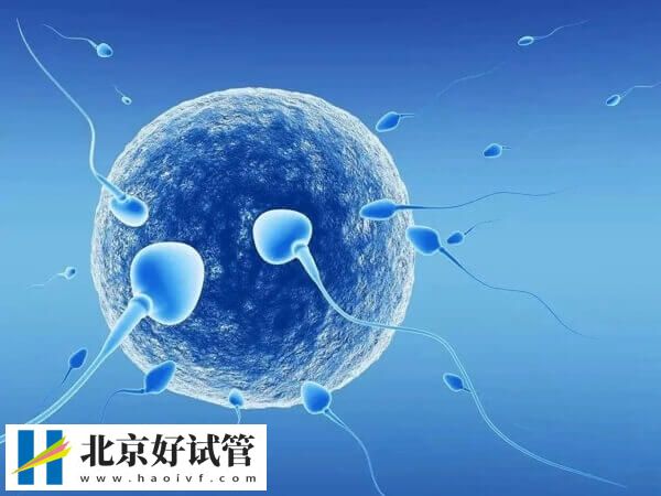 有没有移植一枚3ba囊胚成功案例