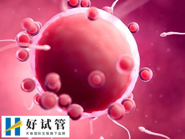 做试管婴儿也有风险