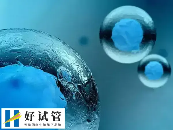 冻卵试管成功率高不高(图1) 冻卵试管并非人人都能进行